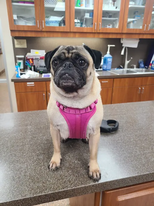 Risinger Veterinary Hospital Picture 1