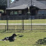 Terrell Veterinary Center