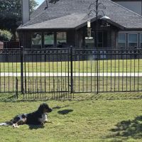 Terrell Veterinary Center ico