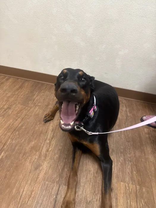 Terrell Veterinary Center Picture 7