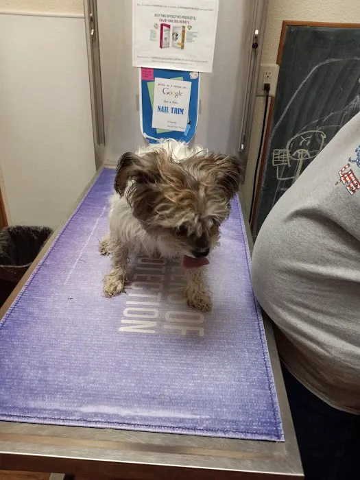Terrell Veterinary Center Picture 6