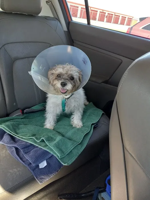 Terrell Veterinary Center Picture 4