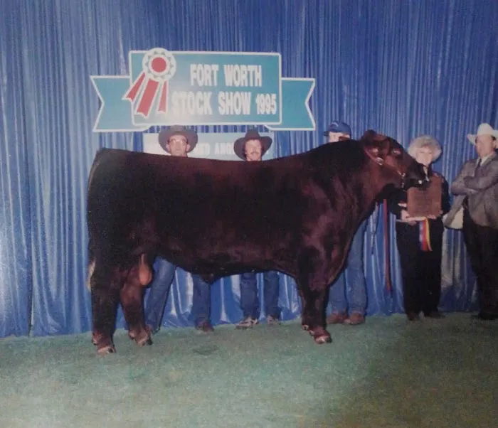 Triple Creek Red Angus Picture 7