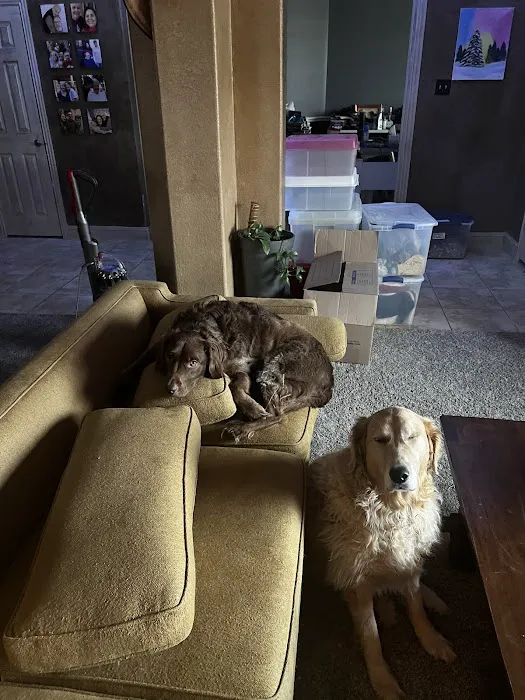 Hometown Pet Vet Picture 10