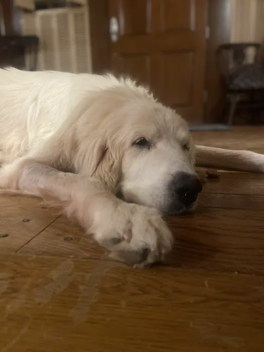 Corsicana Veterinary Clinic Picture 1