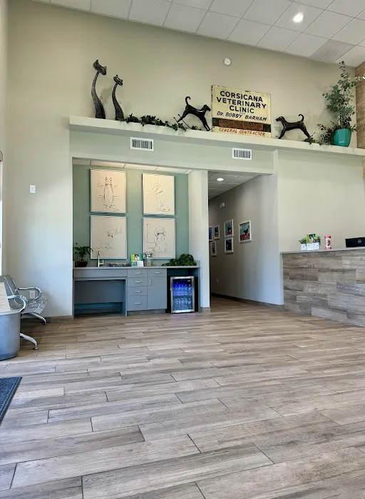 Corsicana Veterinary Clinic Picture 6