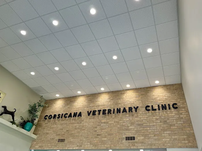 Corsicana Veterinary Clinic Picture 9