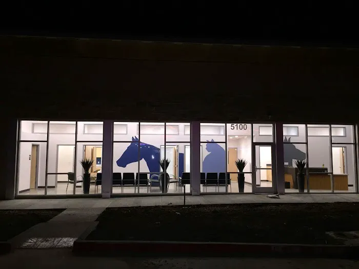 Premier Vet Care Animal Clinic Picture 4