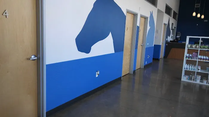 Premier Vet Care Animal Clinic Picture 6