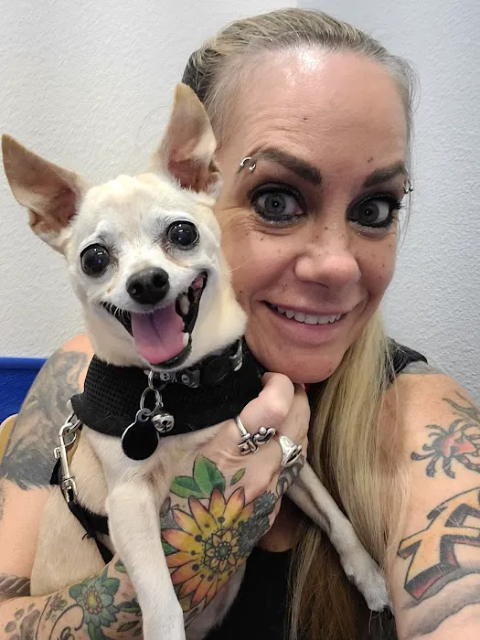 Premier Vet Care Animal Clinic Picture 10