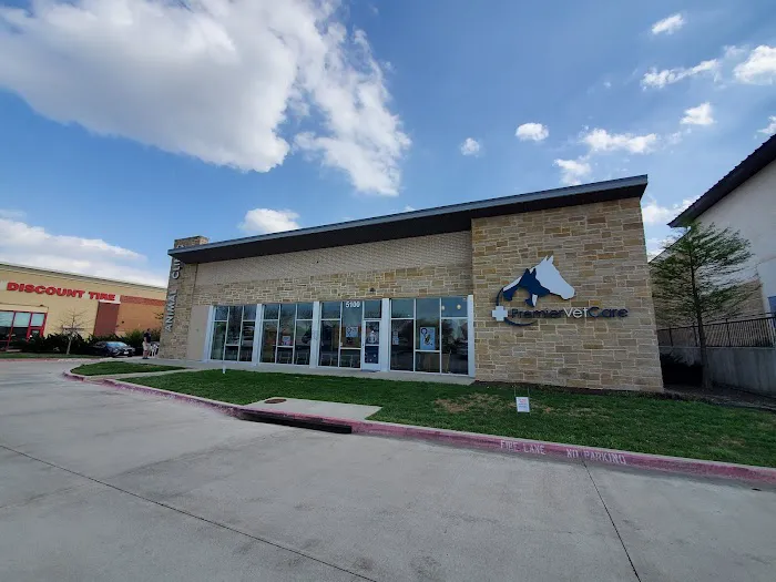 Premier Vet Care Animal Clinic Picture 8