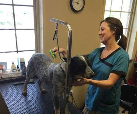 Liberty Grove Animal Hospital