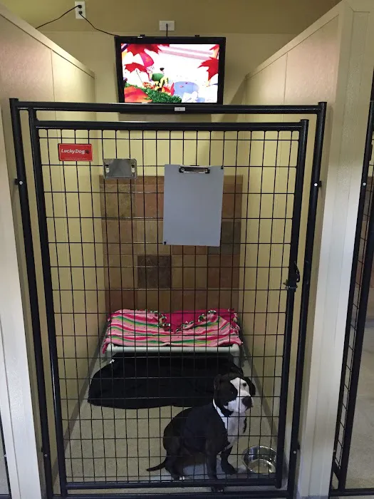 Liberty Grove Animal Hospital Picture 10
