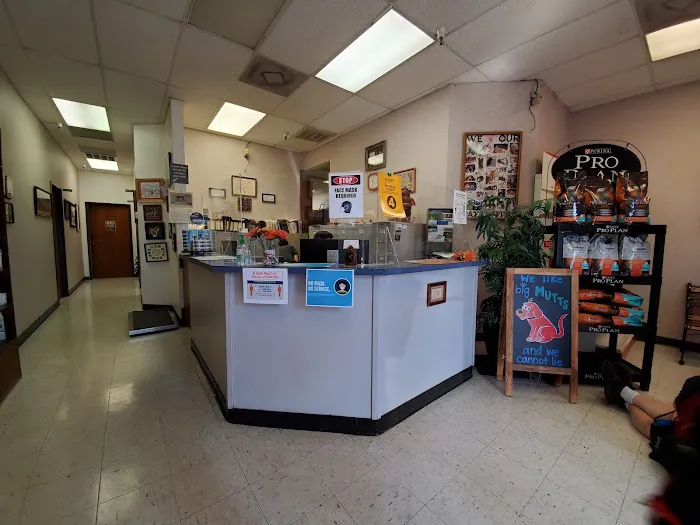 Country Brook Animal Hospital Picture 5