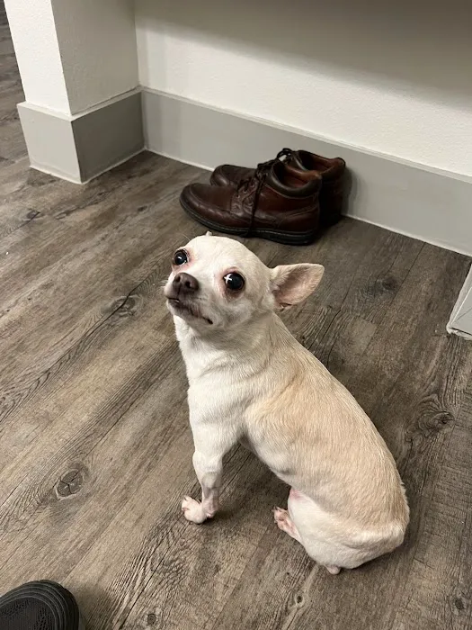 Country Brook Animal Hospital Picture 6