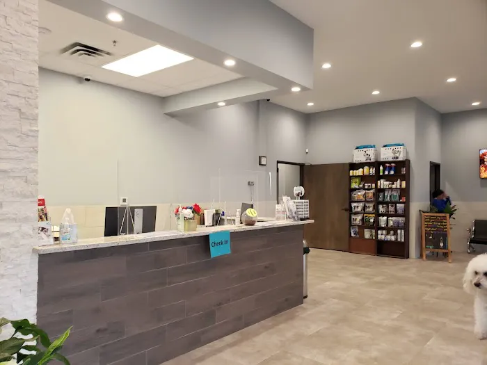 Country Brook Animal Hospital Picture 10