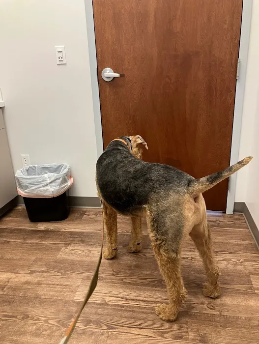 Faithful Friends Veterinary Care Picture 3