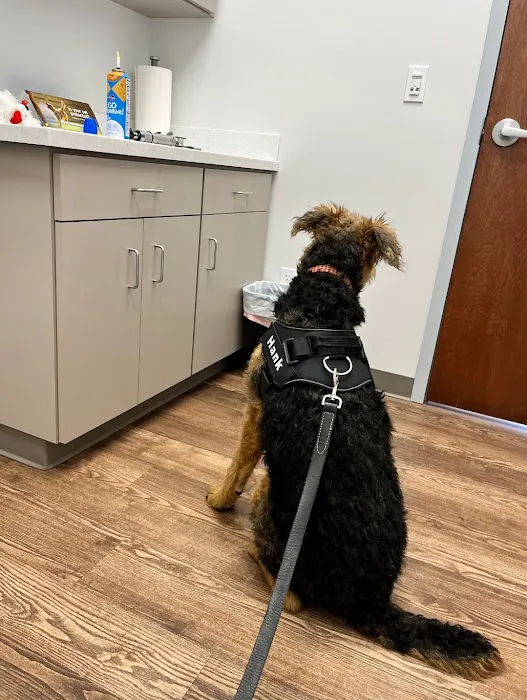 Faithful Friends Veterinary Care Picture 4