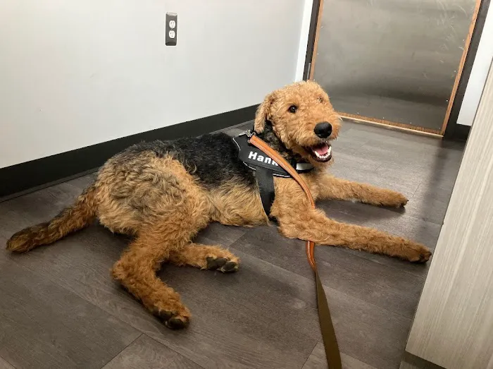 Faithful Friends Veterinary Care Picture 1