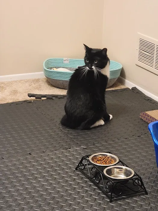 Faithful Friends Veterinary Care Picture 8