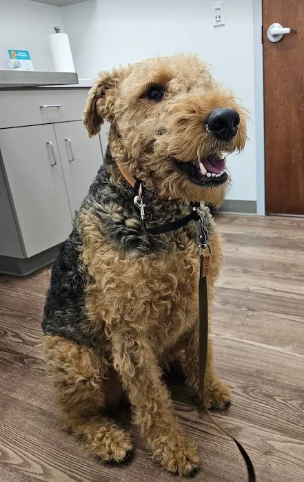 Faithful Friends Veterinary Care Picture 10