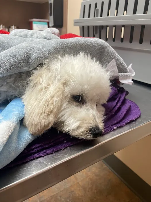 Wilson Veterinary Hospital Picture 6