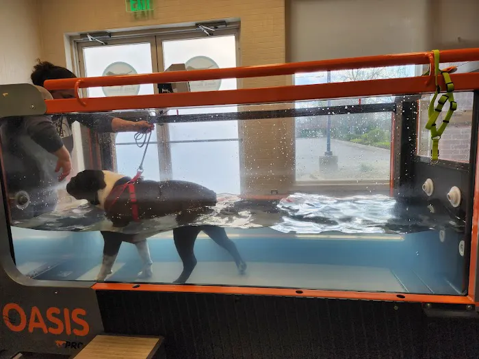 North Macomb Canine Rehabilitation & Conditioning Picture 4