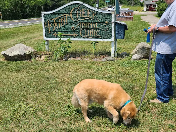 Paint Creek Animal Clinic Picture 7