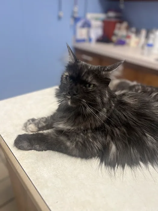 Paint Creek Animal Clinic Picture 1