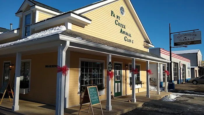 Paint Creek Animal Clinic Picture 8