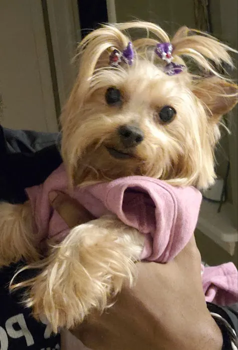 Healthy Paws Veterinary Hospital Picture 9