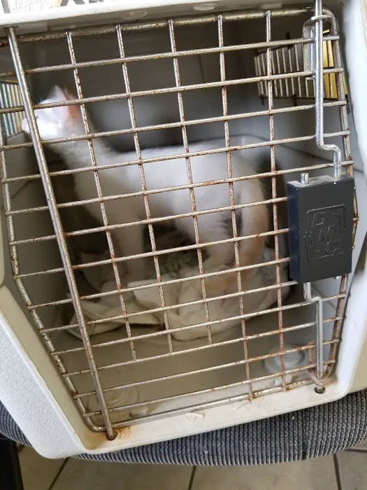 Healthy Paws Veterinary Hospital Picture 2