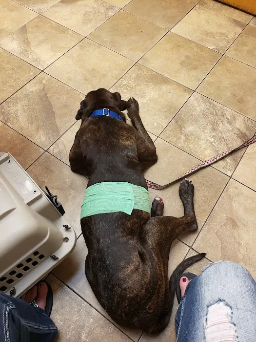 Willowood Acres Veterinary Clinic Picture 8