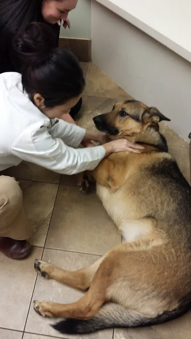 Willowood Acres Veterinary Clinic Picture 7