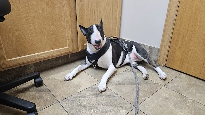 Willowood Acres Veterinary Clinic Picture 6