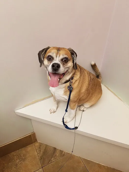 Willowood Acres Veterinary Clinic Picture 1