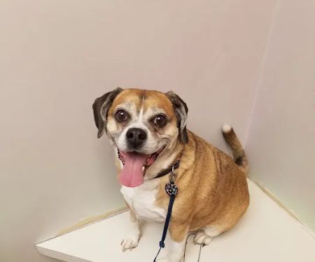 Willowood Acres Veterinary Clinic