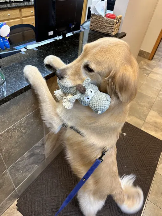 Willowood Acres Veterinary Clinic Picture 5