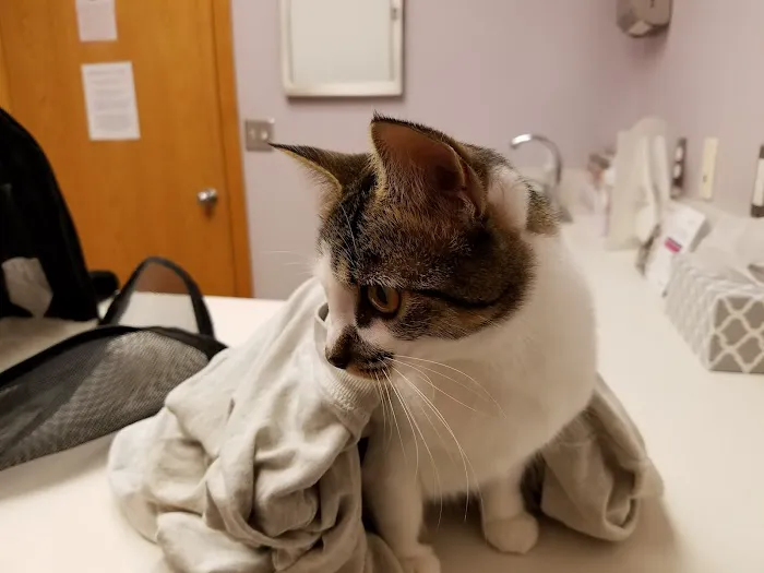 Willowood Acres Veterinary Clinic Picture 9