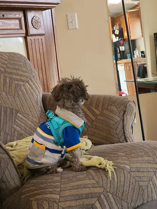 Salem Veterinary Services Picture 6