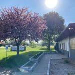 Dandy Acres Animal Hospital