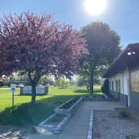 Dandy Acres Animal Hospital ico