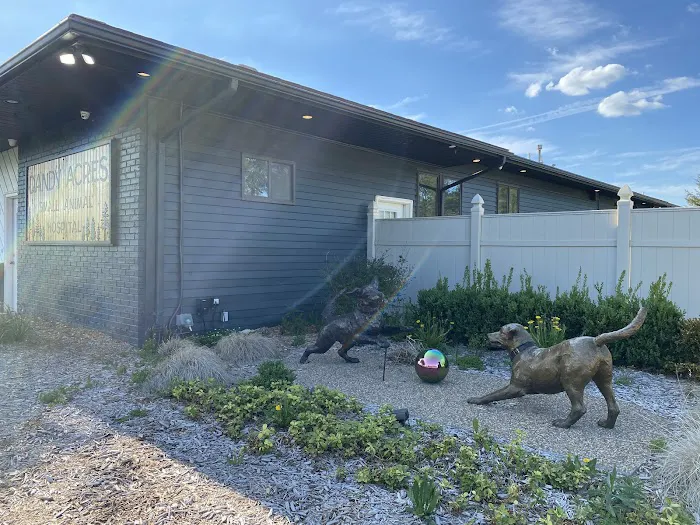 Dandy Acres Animal Hospital Picture 10