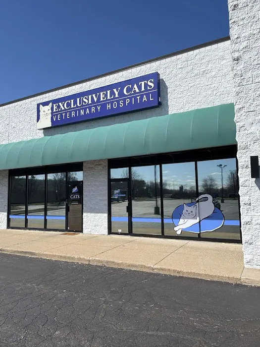 Exclusively Cats Veterinary Hospital Picture 6
