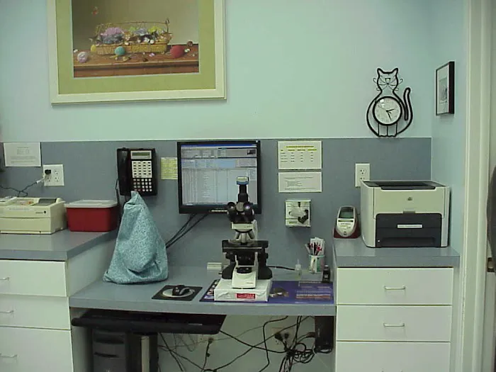 Exclusively Cats Veterinary Hospital Picture 8