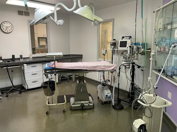 Pet Authority Animal Hospital Picture 5
