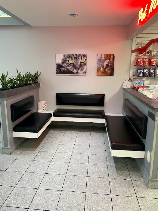 Pet Authority Animal Hospital Picture 10