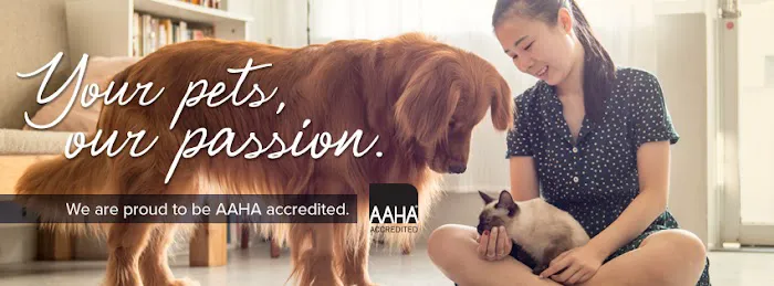 Pet Authority Animal Hospital Picture 2