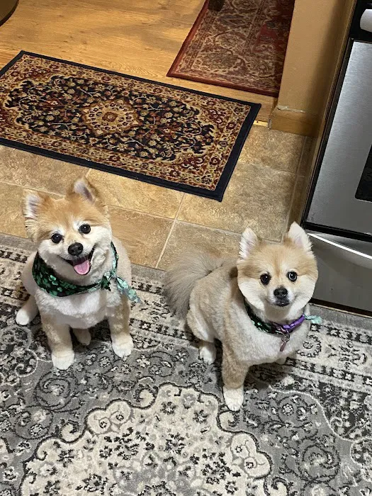 Pet Authority Animal Hospital Picture 7