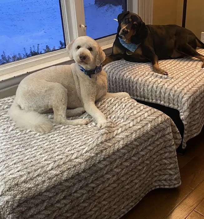 BluePearl Pet Hospital Auburn Hills Picture 5